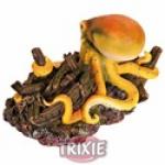 Akváriumi hajóroncs polippal