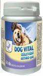 Dog Vital ARTHRO ÍZÜLETVÉDŐ 60db-os